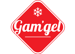 Logo Gam Gel